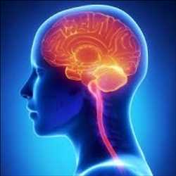 electrodo subdural