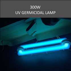 Global Lámpara germicida ultravioleta Mercado