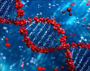 Pronóstico global del mercado de herramientas de ciencias de la vida