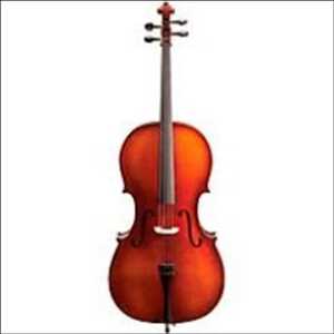 Violonchelos acústicos Mercado