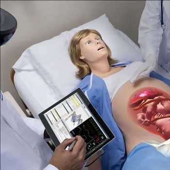 Global Simuladores de pacientes Margen de crecimiento del mercado