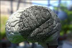 Brain Fingerprinting Technology Mercado Demanda-Oferta