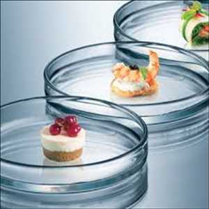 Food Safety Testing Pronóstico del mercado
