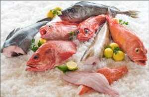 Pescados y Mariscos Congelados