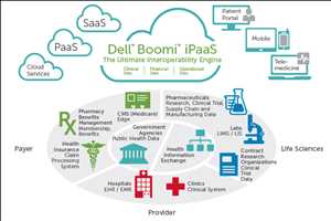 Healthcare Data Interoperability Mercado Demanda-Oferta