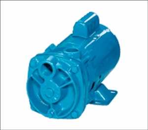 Regenerative Turbine Pump Pronóstico del mercado