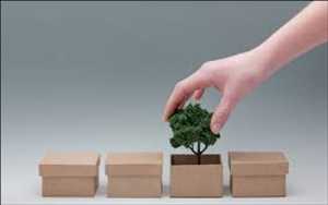 Sustainable Packaging Mercado Demanda-Oferta