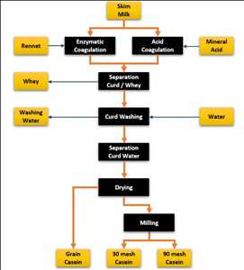 global-Caseins-Caseinates-market