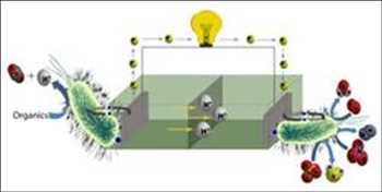 Global Sistemas bioelectroquímicos Cuota de mercado