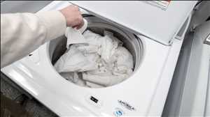 Global Agitator Washing Machine Market Demand