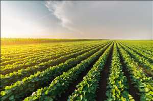 Global Agricultural Biologicals Historic Data