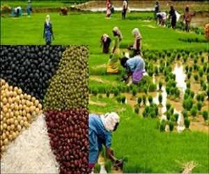 Fumigantes Agrícolas