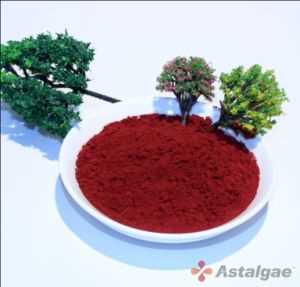 Nombre de la imágen