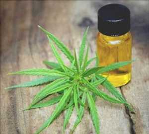 Global-Cannabidiol-Market