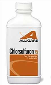 Global-Chlorsulfuron-Market