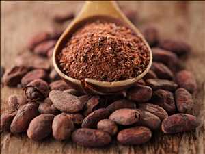 Global Cocoa Grindings Revenue