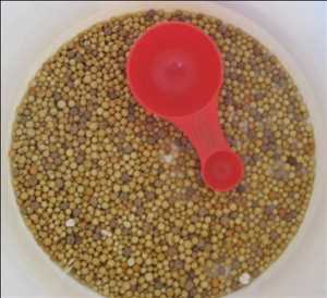 Global Controlled Release Fertilizer Market Trend