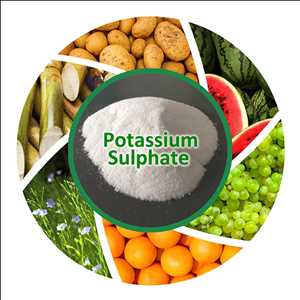 Global Customized Potash Fertilizers Volume