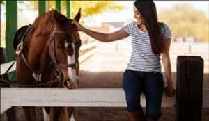 Global-Equestrian-Products-Supplies-Market