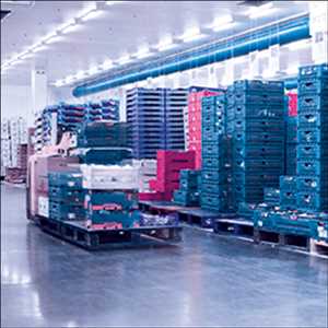 Global Food Logistics Market Future Scope