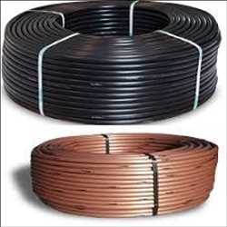 Palabra clave de mercado