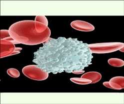 Palabra clave de mercado