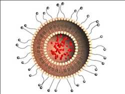 Global Doxorrubicina liposomal Mercado