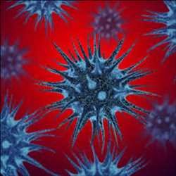 Palabra clave de mercado