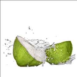 Global Organic Coconut Water Market Size