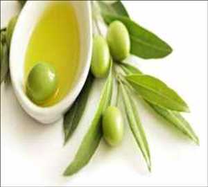Global Organic Olive Oil Market Future Data