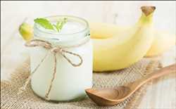 Mercado mundial de probióticos