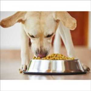 Global-Pulses-in-Pet-Food-Market
