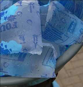 Global Sachet Water Market Share
