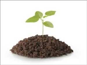 Global Soil Analysis Price Analysis