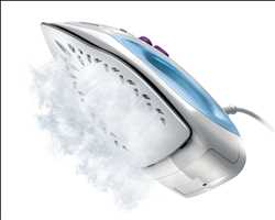 Global Plancha de vapor Mercado