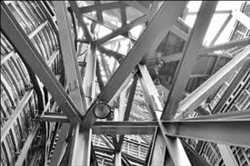 Nombre de la imágen