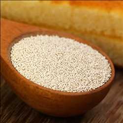 Ingredientes de levadura