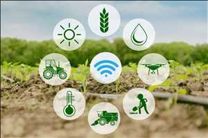 loT en agricultura inteligente