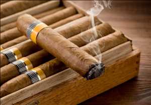 Tendencia global del mercado de cigarros y cigarros