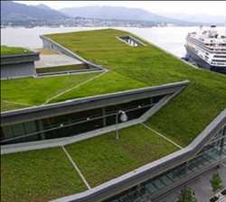Global Techo verde Cuota de mercado