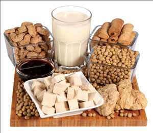 Industria del mercado mundial de alimentos de soja