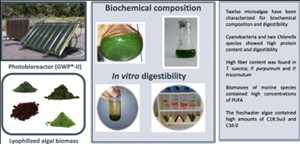Alimentos e ingredientes para animales a base de algas Mercado Demanda-Oferta
