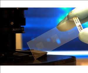 Productos Biochip Mercado