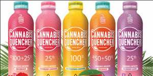 Bebidas Cannábicas Pronóstico del mercado