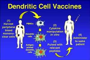 Vacuna contra el cáncer de células dendríticas Mercado