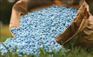 Fertilizantes Mercado Demanda-Oferta