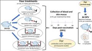 Vacunas inactivadas Mercado