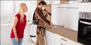 Control de Plagas Profesional Mercado Demanda-Oferta