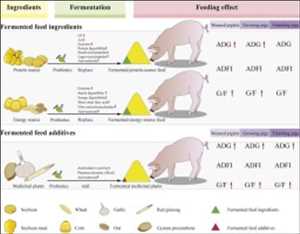 Alimentación porcina (cerdo) Mercado Demanda-Oferta