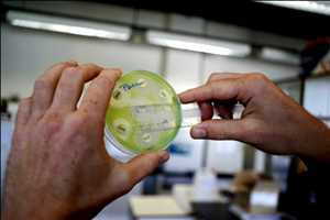 Tecnología de biología sintética Mercado